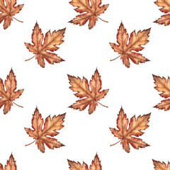 Fototapeta premium Seamless pattern with maple leaves.