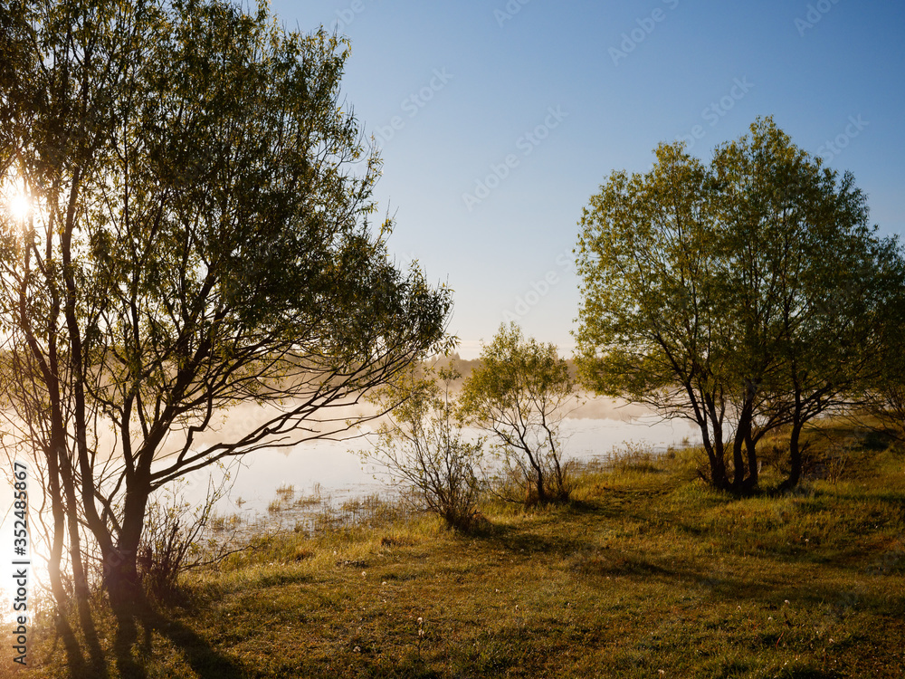 Wall mural foggy morning on the river near the floodplain meadow