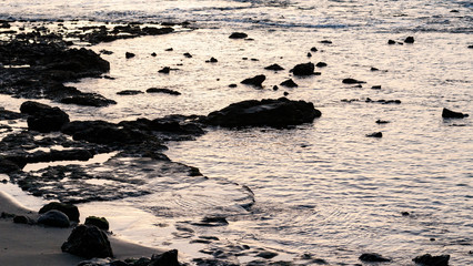 landscape  in the coast at sunset