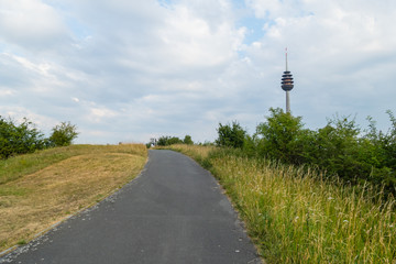 Weg auf Schweinauer Buck Nürnberg © pusteflower9024