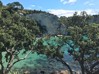 Stingray Bay, Neuseeland