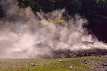 Traditional way of charcoal production in a forest