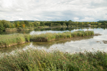 Fototapeta na wymiar Wetland Haff Reimich, nature reserve in Luxembourg
