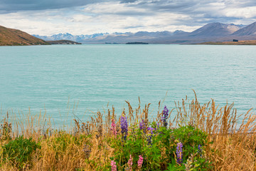 Lake Tekapo in the south island of New Zealand