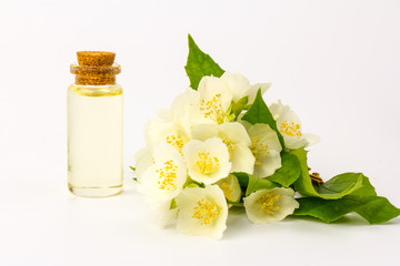 Obraz na płótnie Canvas Jasmine flowers isolated on white background, close up.