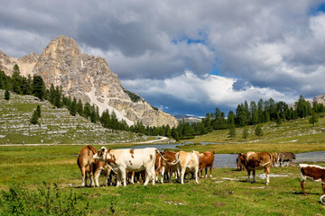 Fototapeta na wymiar Autumn landscape in Val di Fanes, Dolomites, Italy, Europe