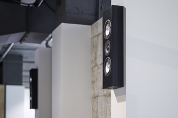Fototapeta na wymiar speaker system in the house