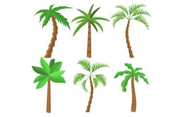 Fototapeta na wymiar Tropical palm trees collection. Exotic palm trees concept for summer banners. Flat style