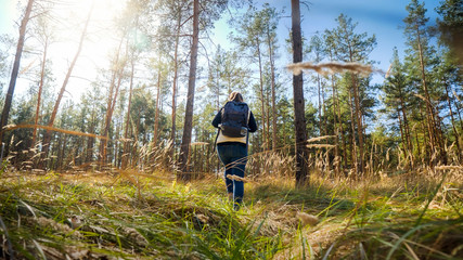 Fototapeta premium Rear view photo of female hiker exploring and hiking in pine tree forest