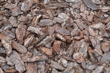 Background from wooden chips