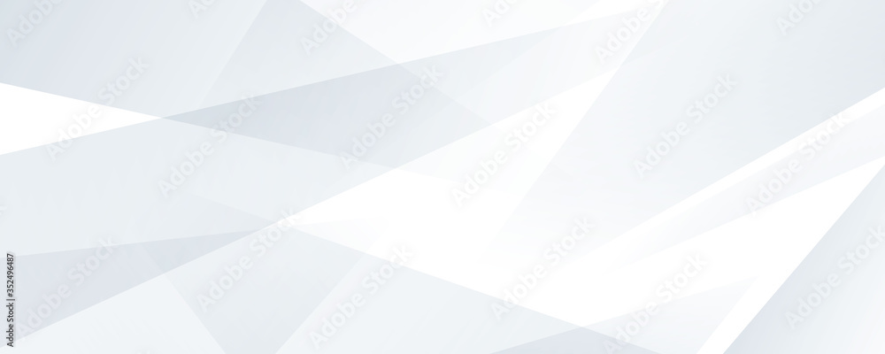 Wall mural abstract grey background poster with dynamic waves. technology network vector illustration.