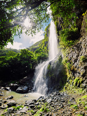 Obraz premium High cascade waterfall in the tropical jungle at Mauritius