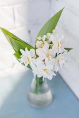 Top view of narcissus or daffodils flowers with lily of the valley in vase on the blue table. Tenderness. Spring mood