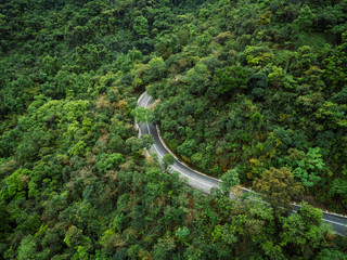 Aerial drone view of trail in spring tropical forest