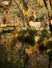 Gorge Road Creek water reflections