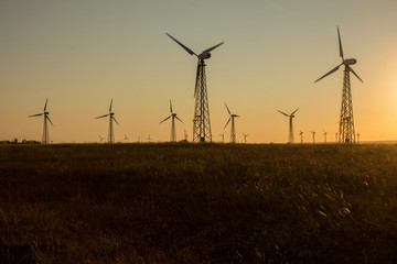 Lone black silhouettes of wind turbines. Renewable energy generation. Evpatoria, Crimea.