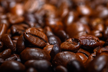 coffee beans close up