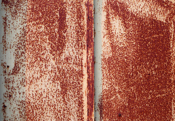 Photo background texture of a rusty door