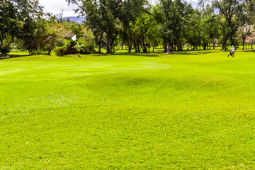 golf course in the morning