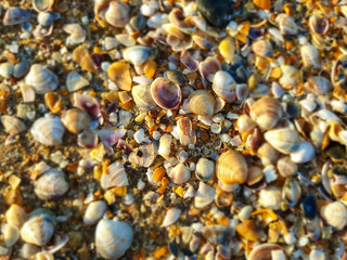 Djemete. A warm summer morning on the coast of the Black sea. Anapa, Krasnodar region.