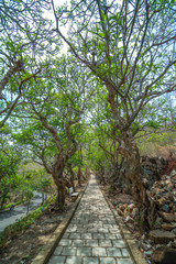 White Palace of Vung Tau city