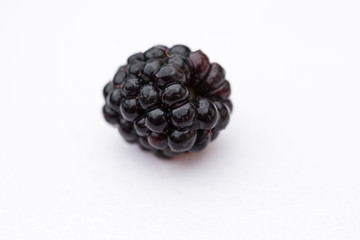 blackberry on white background