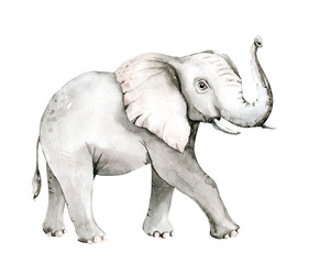 Watercolor frican elephant animal isolated on white background. Savannah wildlife cartoon zoo safari poster. Jungle decoration