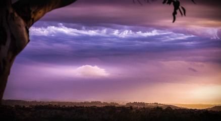 One tree hill view in the evening in Adelaide Hills