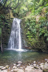 Fototapeta na wymiar walk and discover the prego salto waterfall on the island of sao miguel, azores