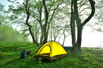 新緑・湖畔のキャンプ
