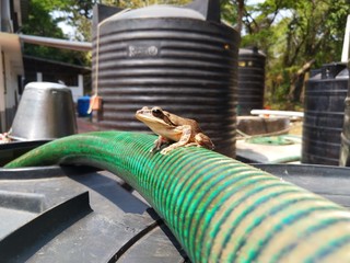 water tank in the park