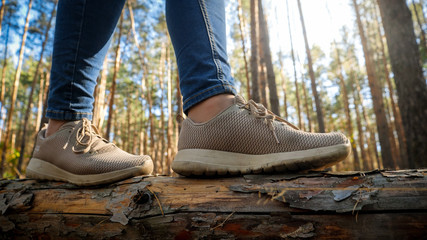 Closeup photo of female feet in sneaker walking and balancing on fallen tree log in forest