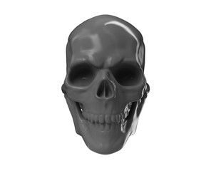 Skull with Jaw Open Left 3d render