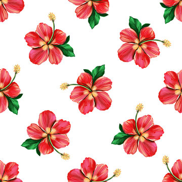 Floral digital pattern with red Hibiscus on white background. Seamless summer tropical fabric design. Hand drawn illustration