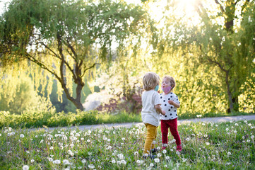Fototapeta premium Small children with face masks playing outdoors, coronavirus concept.
