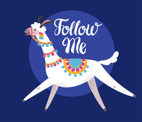 Illustration with llama, composition on blue vector doodle elements. Greeting card with Alpaca. Follow me