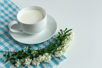 a white cup of fresh milk on a white background with sprigs of white flowers that complement the composition, tasty, healthy, atmospheric