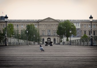 Obraz premium PONT DES ARTS PARIS