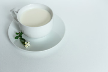Obraz na płótnie Canvas a white cup of fresh milk on a white background with sprigs of white flowers that complement the composition, tasty, healthy, atmospheric