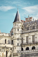 Fototapeta na wymiar Detalle arquitectura del chateau de Amboise