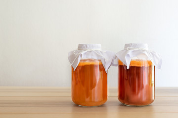homemade fermented drink Kombucha SCOBY 