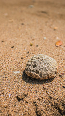 mobile/phone/gsm wallpapper