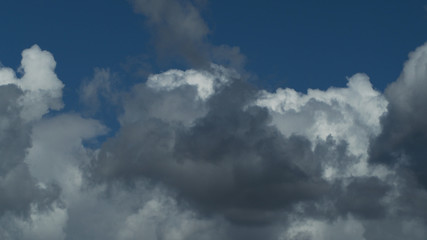 Cumulus de beau temps, temps clément