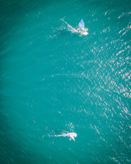 Windsurfers at Walchensee