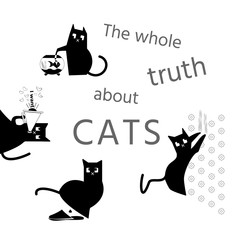 Funny bad cat behavior set.