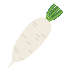 だいこん　大根　ダイコン　野菜　根菜