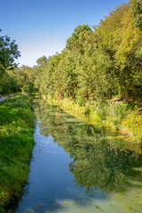 Fototapeta na wymiar Water canal in public park Charruyer, La Rochelle, France