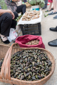 Naklejki Strange food on a chinese market