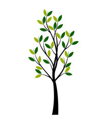 Obraz premium Set of Trees. Vector Illustration.