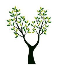 Set of Trees. Vector Illustration. Collection of icons.